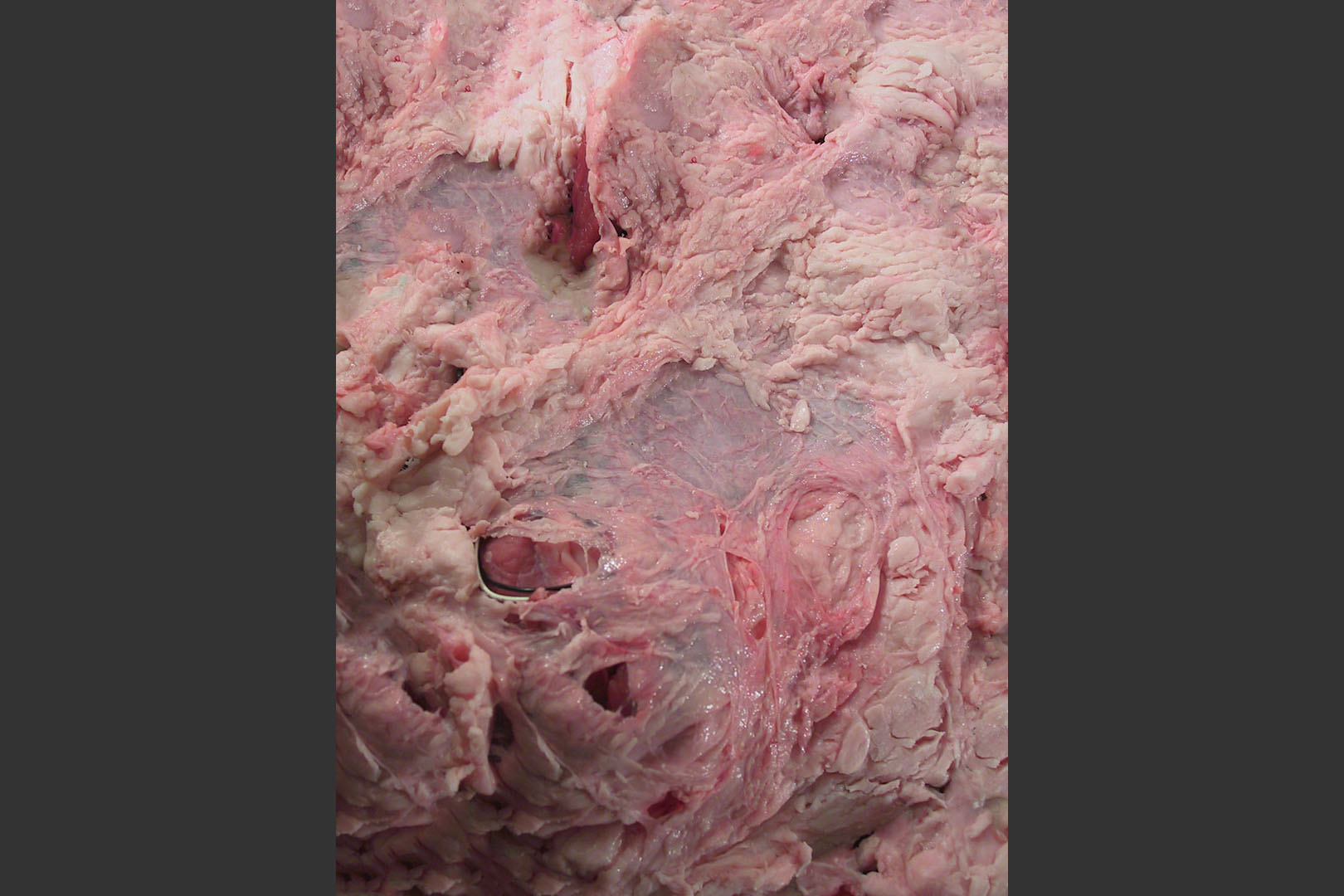 Ceci n'est pas une peinture